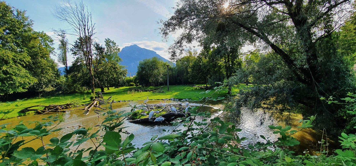 Sonnenuntergang im Zoo Salzburg © TVB Puch - Gerber